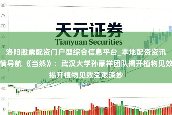 洛阳股票配资门户型综合信息平台_本地配资资讯学习与行情导航 《当然》：武汉大学孙蒙祥团队揭开植物见效受艰深妙