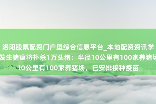 洛阳股票配资门户型综合信息平台_本地配资资讯学习与行情导航 日本发生猪瘟将扑杀1万头猪：半径10公里有100家养猪场，已安排接种疫苗